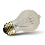 A19 Vintage Edison Bulb - E26 - 60 Watt -1 Pack** ON SALE**
