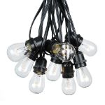 25 Clear S14 Commercial Grade Light String Set on 37.5' of Black Wire 