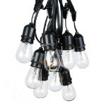 15 Clear S14 Commercial Grade Suspended Light String Set on 48' of Black Wire