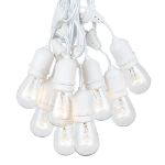 25 Clear S14 Commercial Grade Suspended Light String Set on 37.5' of White Wire 