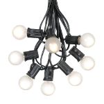 100 G30 Globe String Light Set with Frosted White Bulbs on Black Wire