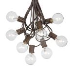 100 G40 Globe String Light Set with Clear Bulbs on Brown Wire