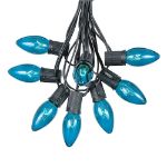 C9 25 Light String Set with Teal Bulbs on Black Wire