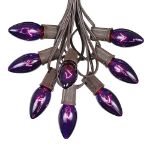 C9 25 Light String Set with Purple Bulbs on Brown Wire