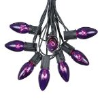 25 Twinkling C9 Christmas Light Set - Purple - Black Wire