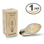 PS58 Vintage Edison Bulb - E26 - 60 Watt -1 Pack**ON SALE**