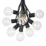 25 G50 Globe Light String Set with Clear Bulbs on Black Wire
