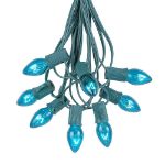 25 Light String Set with Teal Transparent C7 Bulbs on Green Wire