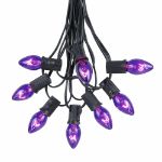 25 Light String Set with Purple Transparent C7 Bulbs on Black Wire