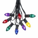 25 Light String Set with Assorted Transparent C7 Bulbs on Black Wire 