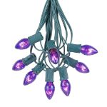 C7 25 Light String Set with Purple Twinkle Bulbs on Green Wire