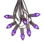 C7 25 Light String Set with Purple Twinkle Bulbs on Brown Wire