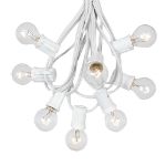 25 G30 Globe Light String Set with Clear Bulbs on White Wire