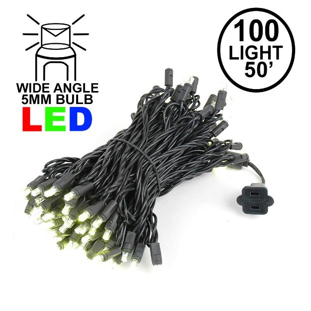 Commercial Grade Wide Angle 100 LED Warm White  50' Long on Black Wire