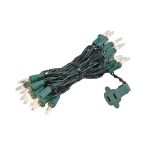 Clear 20 Light 9' Long Green Wire Christmas Mini Lights