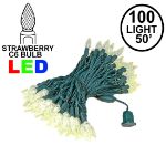 Warm White 100 LED C6 Strawberry Mini Lights Commercial Grade Green Wire