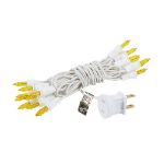 Non Connectable Yellow White Wire Mini Lights 20 Light 8.5'