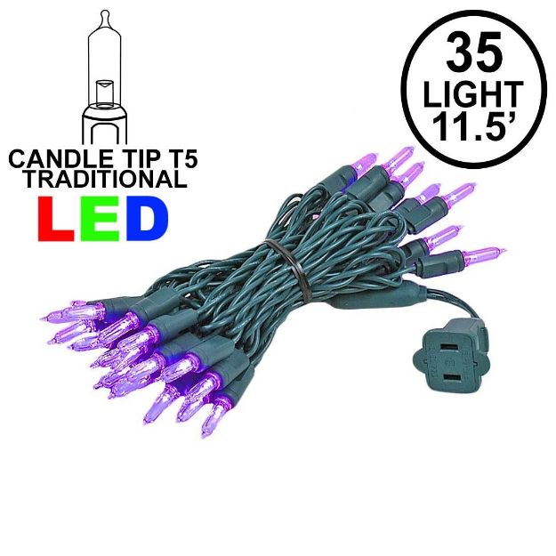 35 Light Traditional T5 Purple LED Mini Lights Green Wire