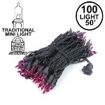 Purple Christmas Mini Lights 100 Light 50 Feet Long on Black Wire