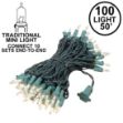 Connect 10 Clear Christmas Mini Lights, 100 Light, 50 Feet Long, Green Wire