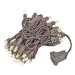 50 LED Warm White LED Christmas Lights 11' Long on Brown Wire