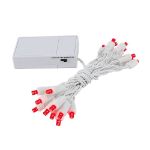 20 LED Battery Operated Lights Red White Wire