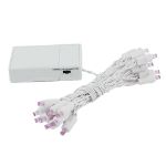 20 LED Battery Operated Lights Purple White Wire