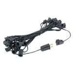 C7 25 Light String Set with Red Twinkle Bulbs on Black Wire