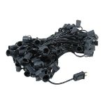 100 G50 Globe Light String Set with Frosted Bulbs on Black Wire