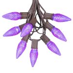 25 Light String Set with Purple LED C9 Bulbs on Brown Wire