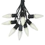 25 Light String Set with Warm White LED C9 Bulbs on Black Wire