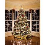 Clear 50 Light 25' Long Green Wire Christmas Mini Lights