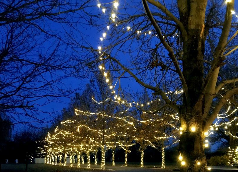 100 Light LED Christmas Mini Light Set, Patio Light, Warm White, Brown Wire, 34’ - Bild 7 von 39