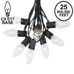 C9 25 Light String Set with Clear Bulbs on Black Wire