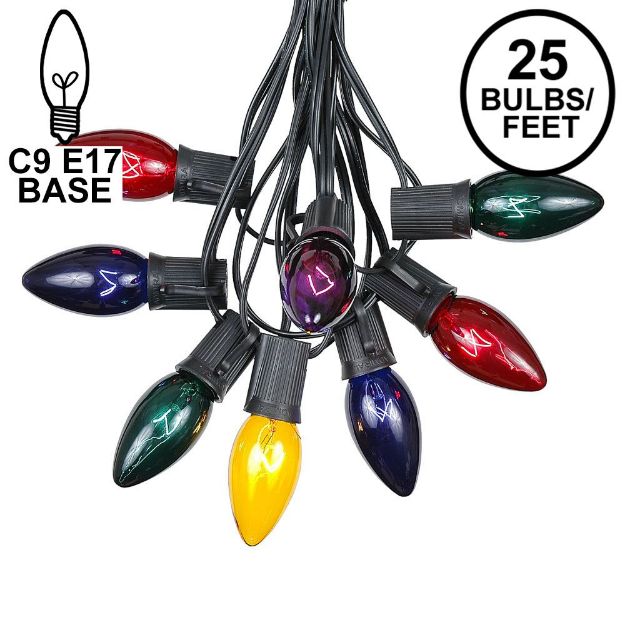 C9 25 Light String Set with Assorted Bulbs on Black Wire