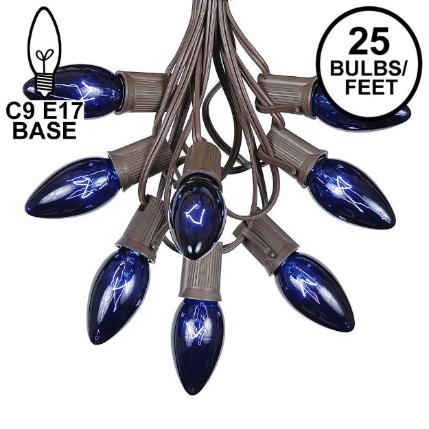 C9 25 Light String Set with Blue Bulbs on Brown Wire