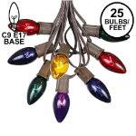 C9 25 Light String Set with Assorted Bulbs on Brown Wire