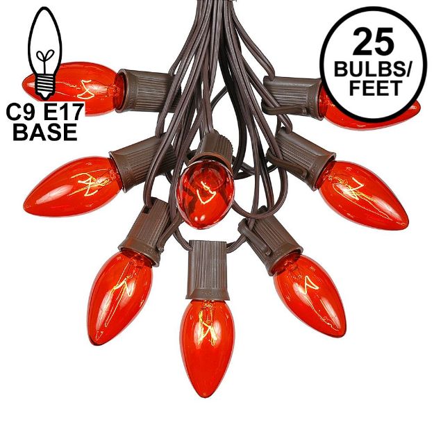 C9 25 Light String Set with Orange Bulbs on Brown Wire