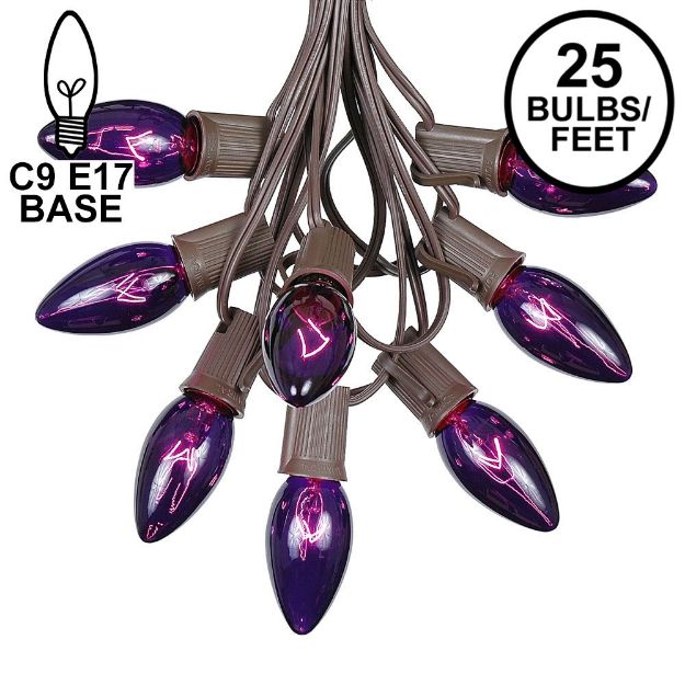 C9 25 Light String Set with Purple Bulbs on Brown Wire