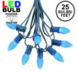 25 Light String Set with Blue LED C7 Bulbs on Green Wire