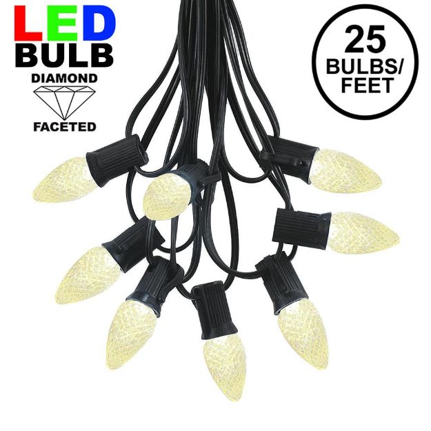 25 Light String Set with Warm White LED C7 Bulbs on Black Wire