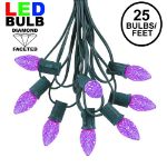 25 Light String Set with Purple LED C7 Bulbs on Green Wire