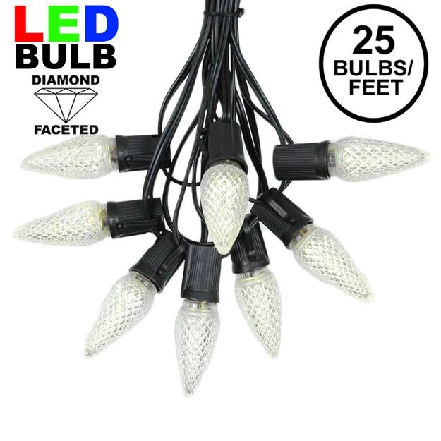 25 Light String Set with Warm White LED C9 Bulbs on Black Wire