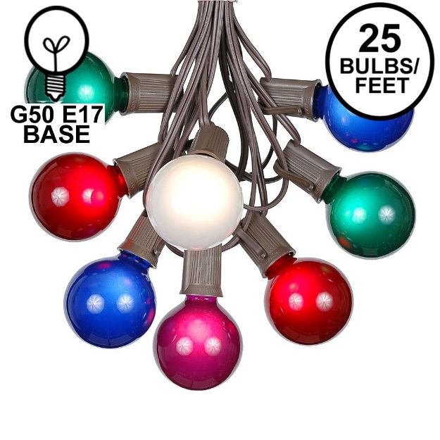 25 G50 Globe Light String Set with Assorted Bulbs on Brown Wire