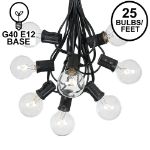 25 G40 Globe String Light Set with Clear Bulbs on Black Wire