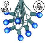 25 G30 Globe Light String Set with Blue Satin Bulbs on Green Wire