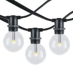 25 Warm White LED G40 Commercial Grade Candelabra Base Light Set - Black Wire