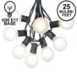 25 G50 Globe Light String Set with Frosted White Bulbs on Black Wire