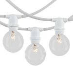 25 Clear G40 Commercial Grade Candelabra Base Light Set - White Wire