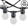 25 Clear G30 Commercial Grade Candelabra Base Light Set - Black Wire